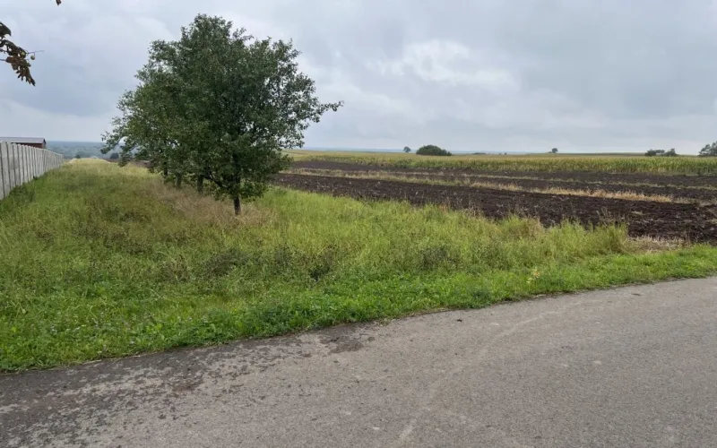 Dom na sprzedaż Cynków