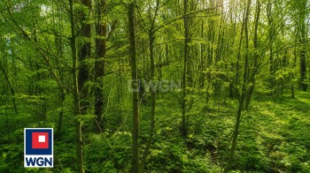 Grunt budowlany jednorodzinny na  sprzedaż Zaborze - Działki budowalne w Zaborze - Centrum.