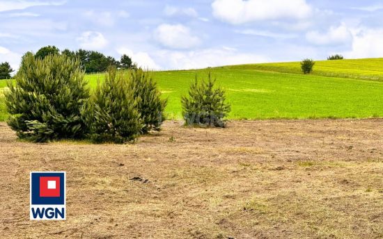 Działka budowlana na sprzedaż Zaborze